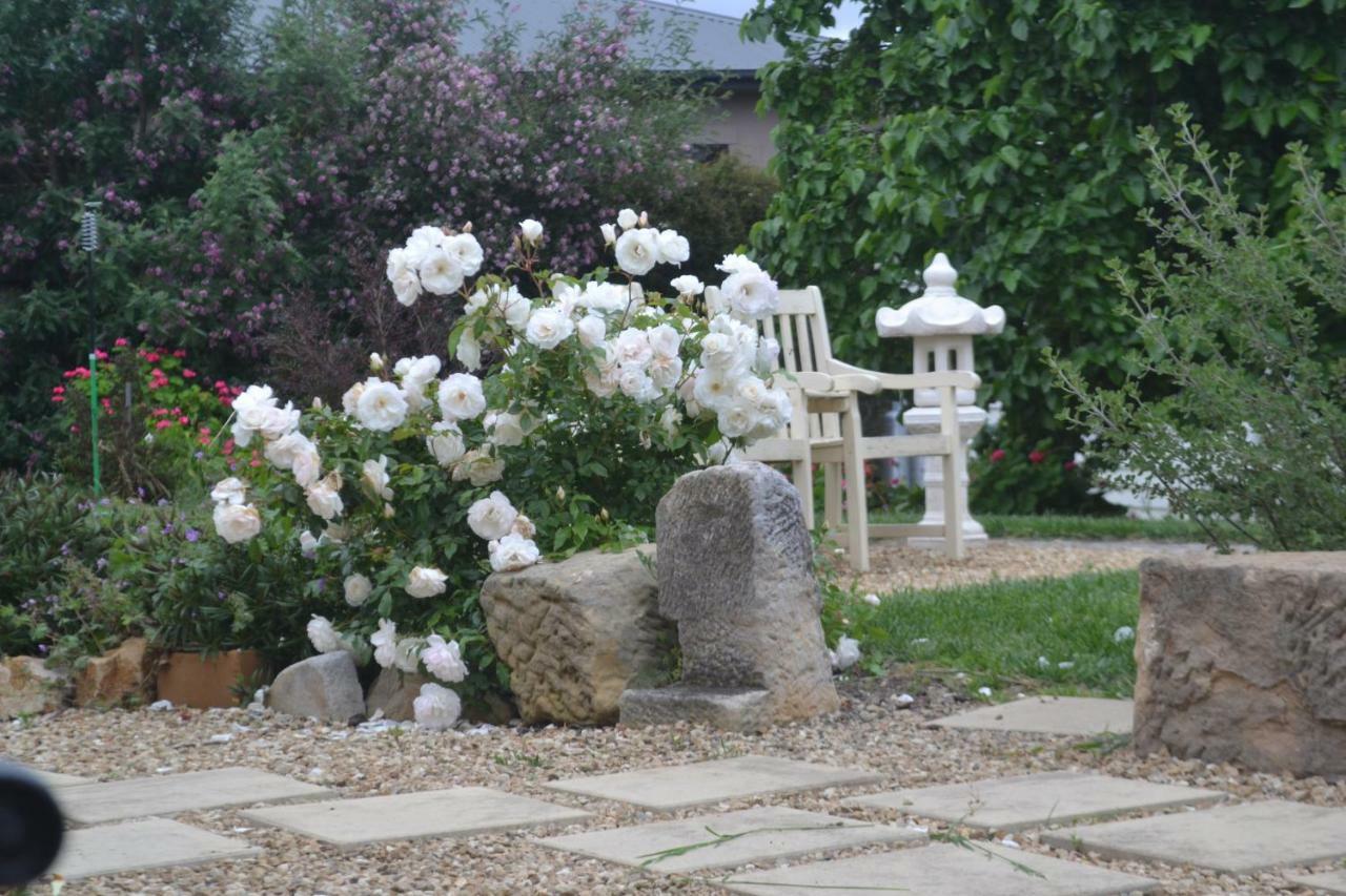 Mulberry Cottage Unique B&B Accommodation Ричмънд Екстериор снимка